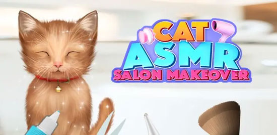Cat ASMR Salon Makeover